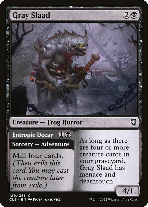 Gray Slaad // Entropic Decay