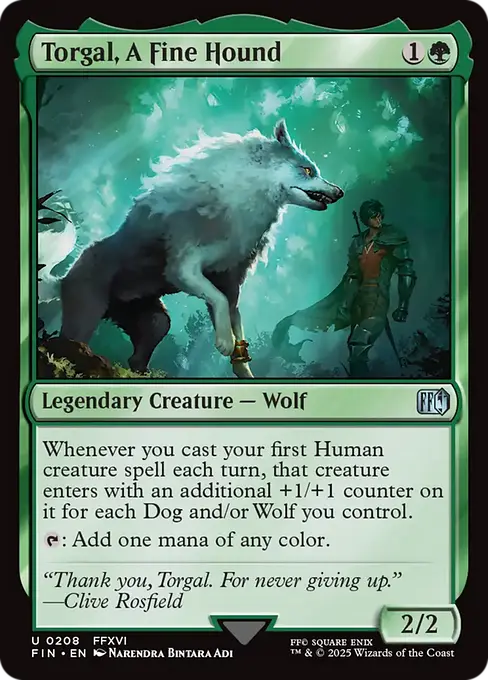 Torgal, A Fine Hound
