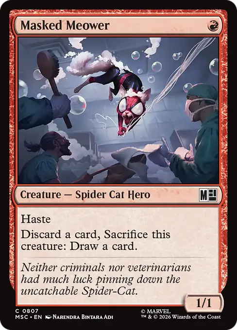 Masked Meower