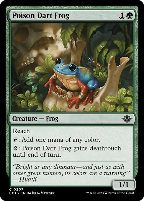 Poison Dart Frog