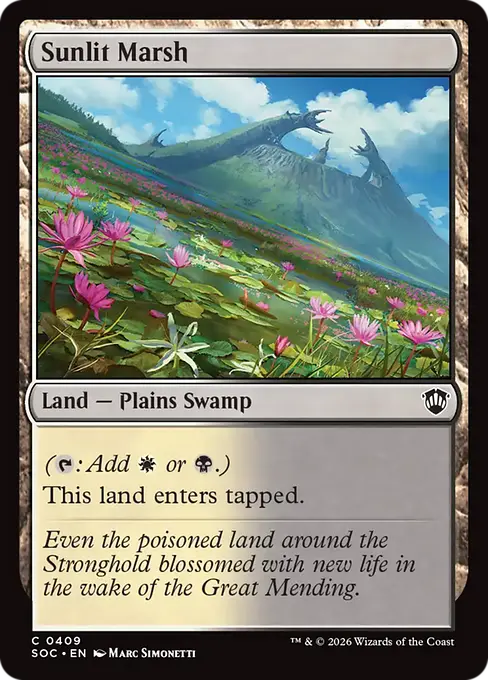 Sunlit Marsh