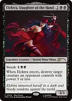 Spotlight Series #11
