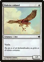 Suntail Hawk from Salvat 2011