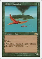 Birds of Paradise from Classic Sixth Edition