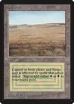 Limited Edition Beta #281
