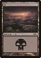 Swamp from Magic Premiere Shop 2008