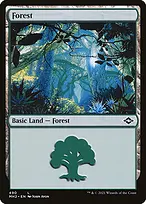 Modern Horizons 2 #490