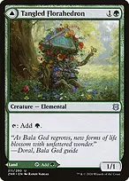 Zendikar Rising #211