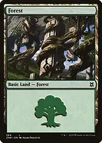 Zendikar Rising #384