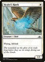 Guilds of Ravnica #14