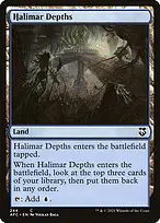 Forgotten Realms Commander #244