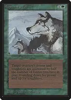 Limited Edition Beta #185
