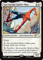 Spotlight Series #6