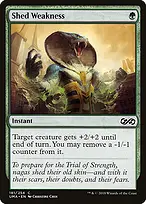 Ultimate Masters #181