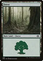 Modern Horizons 2 #489