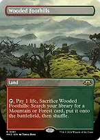 Modern Horizons 3 #361