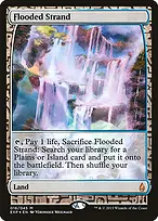 Flooded Strand from Zendikar Expeditions