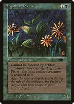 Antiquities #29