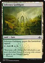 Guilds of Ravnica #255