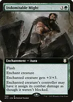 Forgotten Realms Commander #309