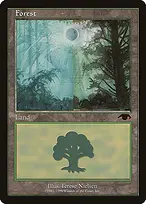 Forest from Guru