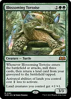 Wilds of Eldraine #163