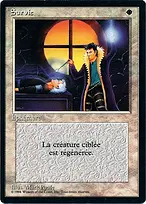 Foreign Black Border #16