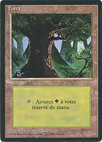Foreign Black Border #306