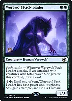 Adventures in the Forgotten Realms Promos #211s