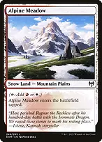 Kaldheim #248