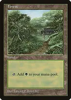 Asia Pacific Land Program #11