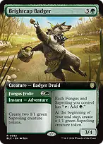 Bloomburrow Commander #62