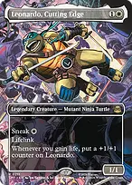 Teenage Mutant Ninja Turtles #211