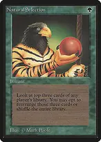 Limited Edition Beta #213