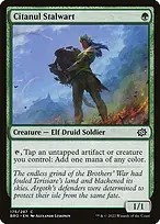 The Brothers' War #175