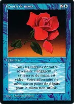 Foreign Black Border #67