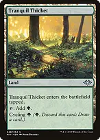 Modern Horizons #248