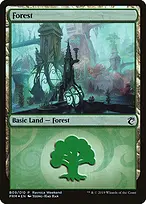 Forest from RNA Ravnica Weekend