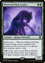 Adventures in the Forgotten Realms Promos #211p