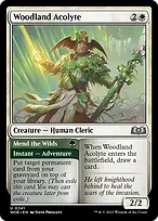 Wilds of Eldraine #241