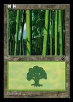 Forest from Portal