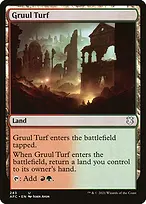 Forgotten Realms Commander #243