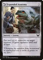 Strixhaven: School of Mages #2