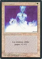 Foreign Black Border #24