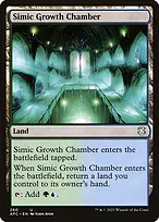 Forgotten Realms Commander #260