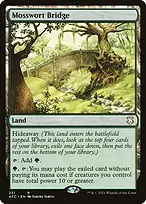 Forgotten Realms Commander #251