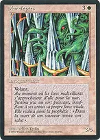 Foreign Black Border #43
