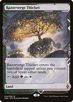 Zendikar Rising Expeditions #15