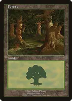 Forest from European Land Program