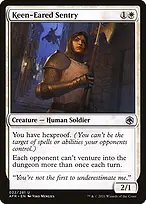 Adventures in the Forgotten Realms #22